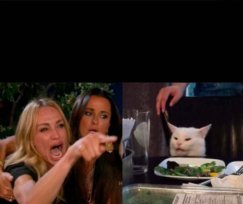 Create meme: meme with screaming woman and a cat, the meme with the cat at the table, meme with a cat and two women