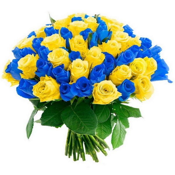 Создать мем: синие кустовые розы, букет из синих роз, желтые розы букет