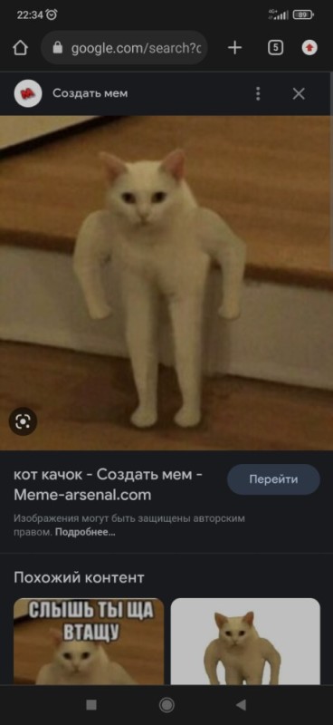 Create meme: cat Jock meme, cat meme , the Jock cat meme original