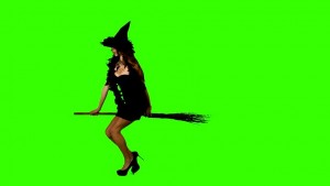 Create meme: witch, the fat witch on a broomstick, the picture is a witch on a broomstick in a green dress