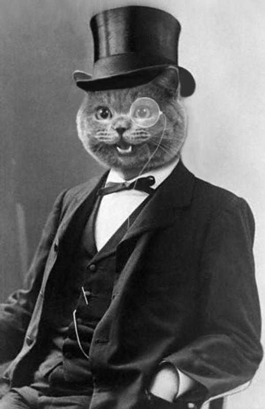 Создать мем: мистер добрый кот, кот, марк твен самуэль клеменс