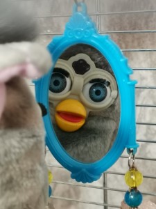 Create meme: Furby toy, Furby