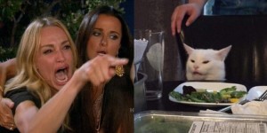 Create meme: a woman yells at a cat meme, meme with a cat and two women, woman yelling at a cat
