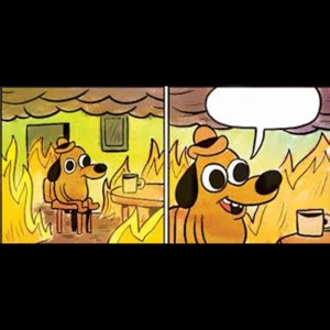 Create meme: everything is fine meme, dog in the burning house meme, picture this is fine