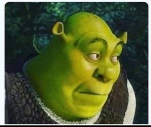Create meme: the face of Shrek, Shrek face, KEK Shrek