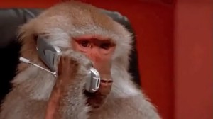 Create meme: monkey, a monkey with a phone