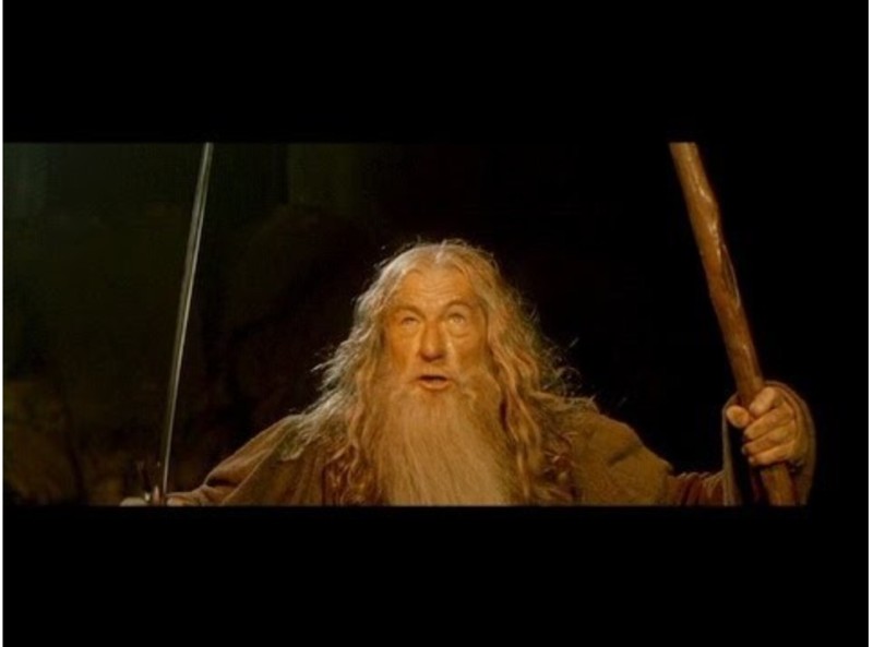 Create meme: Gandalf from Lord of the rings, Gandalf run you fools, the Lord of the rings Gandalf