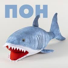 Create meme: shark toy, Shark is a soft toy, The shark is soft