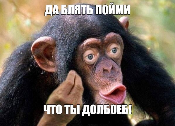 Create meme: male chimpanzee, chimpanzees are funny, chimpanzees 