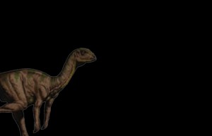 Создать мем: гетеродонтозавр, coelophysis, troodon