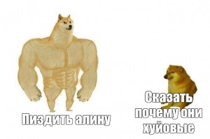 Создать мем: мускулистые собаки, качок доге и чимс мем, качок доге
