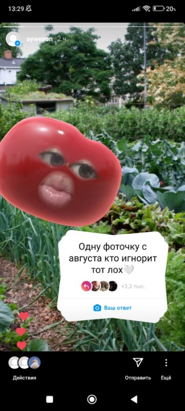 Create meme: screenshot , funny tomato, funny vegetables