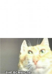 Create meme: meme of ginger cat, memes with cats, cat meme