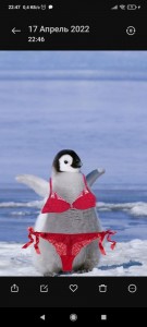Создать мем: я пингвин, пингвинчик, пингвин смешной