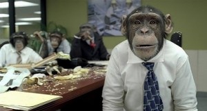 Создать мем: обезьяна директор, обезьяна ученый, труд превратил обезьяну в уставшую обезьяну