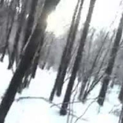 Create meme: in the winter forest, darkness, the hunter in the forest