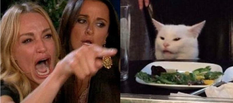 Создать мем: кот мем, котики из мемов, мем с котом и двумя женщинами