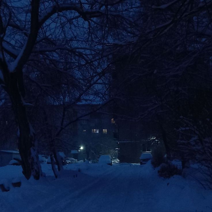 Create meme: night snow, winter aesthetics, landscape aesthetics