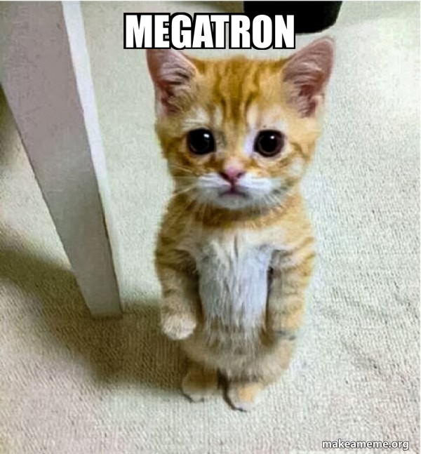 Create meme: the begging cat, cat kotyan, cute cats 