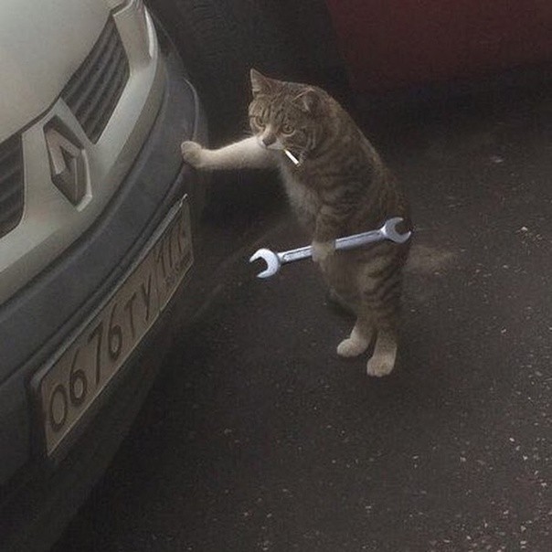 Создать мем: кот смешной, кот, кот с гаечным ключом и сигаретой