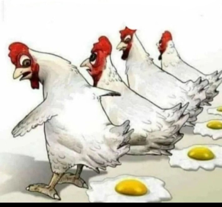 Создать мем: всемирный день курицы, смешная курица, что было первым курица или яйцо