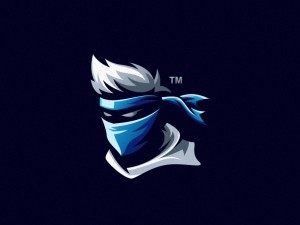 Create meme: gamer, ninja gamer, ninja mascot logo