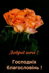 Create meme: the flowers are beautiful, beautiful roses