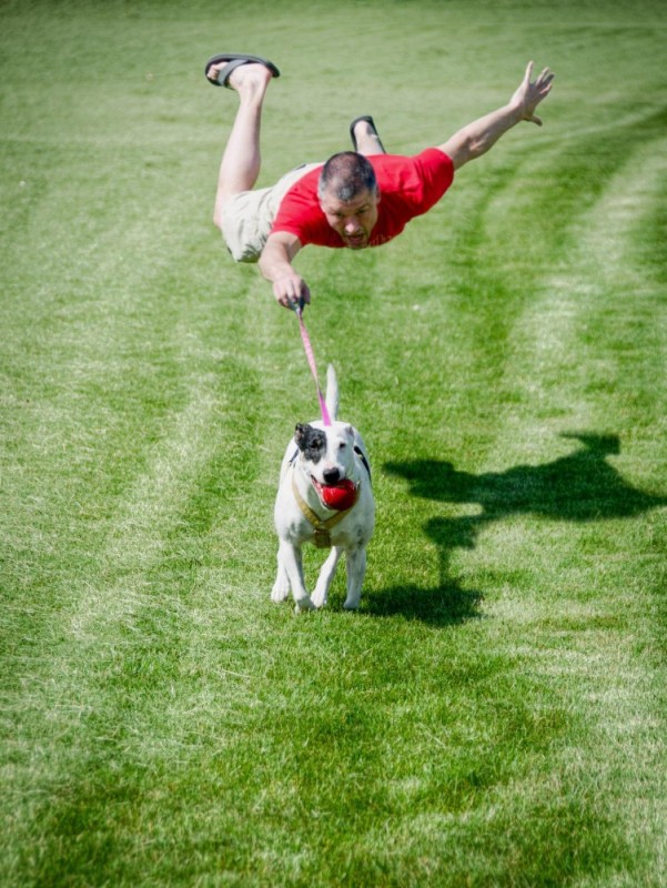 Create meme: flying dog, jumping dog, the dog runs