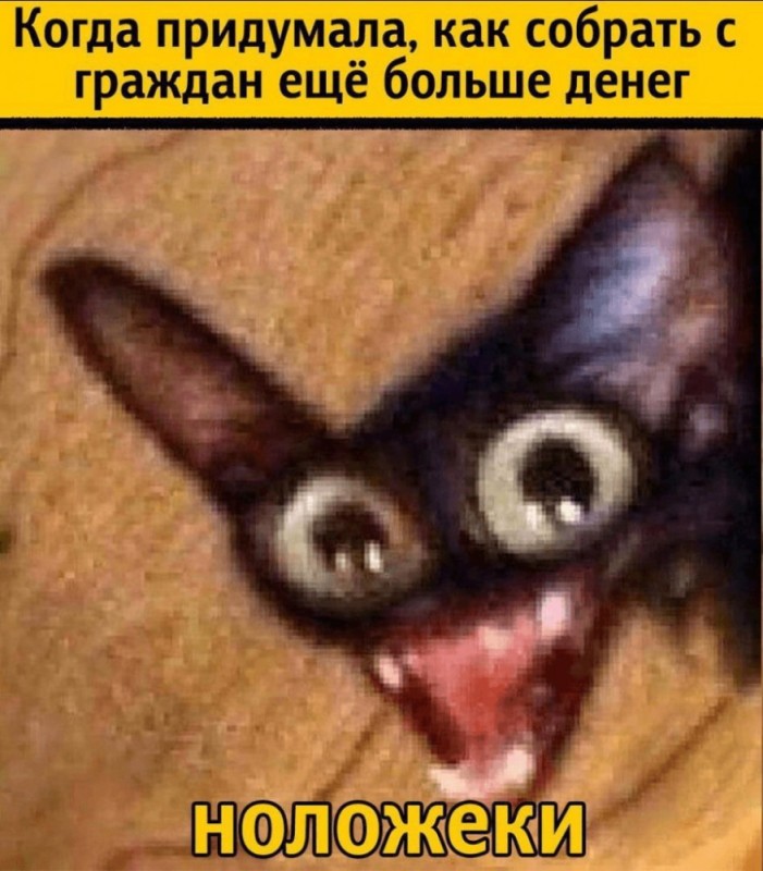 Create meme: memes with a chip set cat, stoned cat , cat meme 