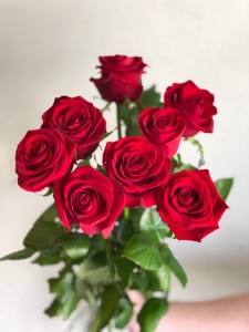 Create meme: roses, beautiful roses, beautiful rose red