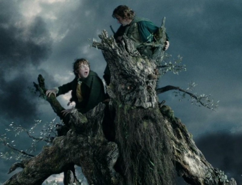 Create meme: ents lord of the rings footage, ents the lord of the rings, the Lord of the rings 