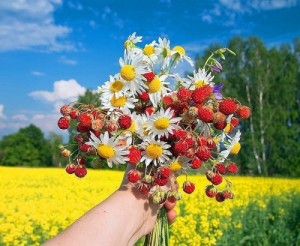 Create meme: bouquet, SUMMER STRAWBERRY