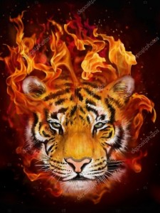 Создать мем: злой огненный тигр, тигр, тигр морда