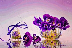 Create meme: Pansy, flowers violets