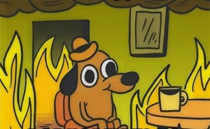 Create meme: dog in the burning house, dog in heat meme