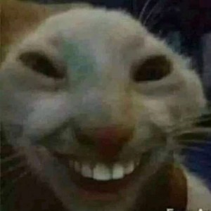 Создать мем: кот с зубами, кот мем, мемный кот улыбается