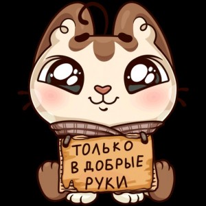 Create meme: cat illustration, cute cat sticker VK, stickers