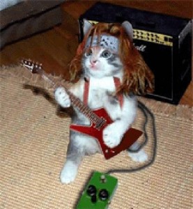 Создать мем: кот играет на гитаре, metal cat, кот металлист