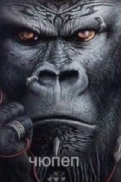 Create meme: gorilla art, gorilla with a cigar, gorilla king Kong