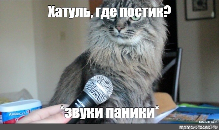 Жена кошка мем