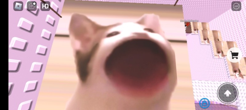 Create meme: pop cat, the cat who opens his mouth, popcat