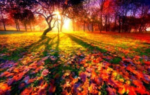 Create meme: the colors of autumn, autumn, fall colors