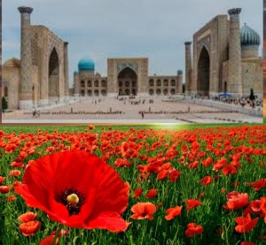 Создать мем: маковое поле арт, мак цветок, фото достопримечательности