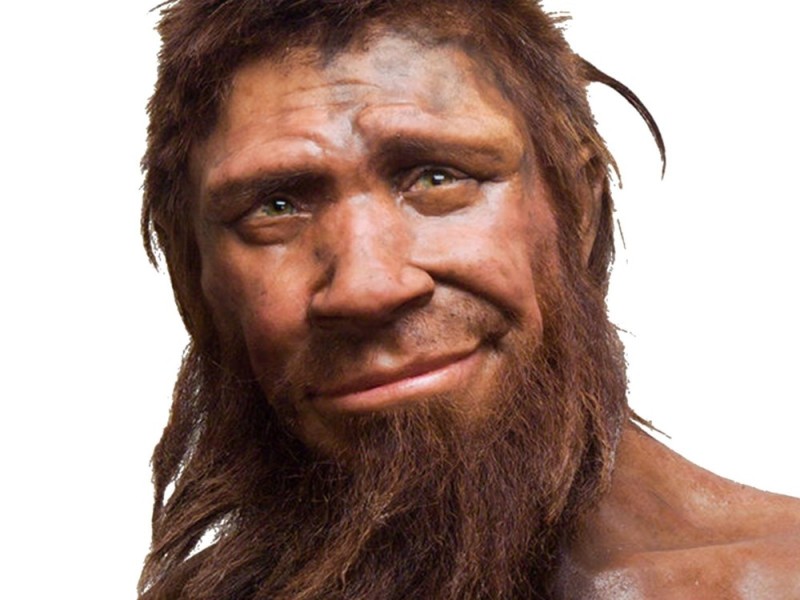 Создать мем: хомо неандерталец, фрай неандерталец, неандерталец