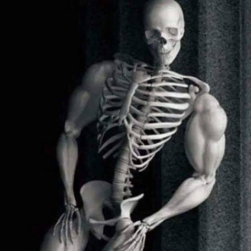 Create meme: the skeleton man, the skeleton is beautiful, skeleton jock