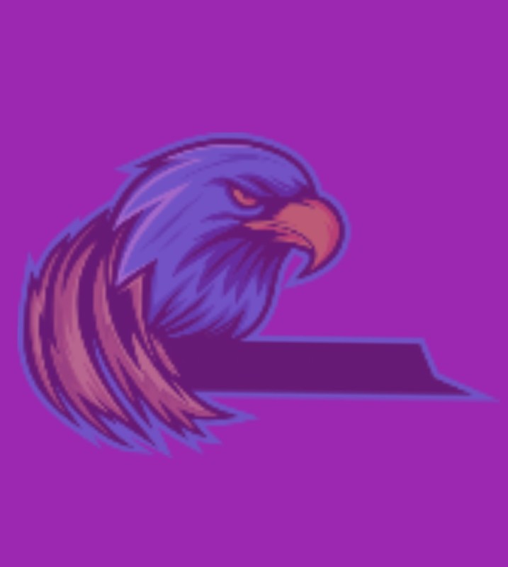 Создать мем: беркут минималистичный лого, eagle, орел эмблема
