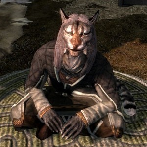 Create meme: the Khajiit has the goods, the Khajiit, the Khajiit Skyrim