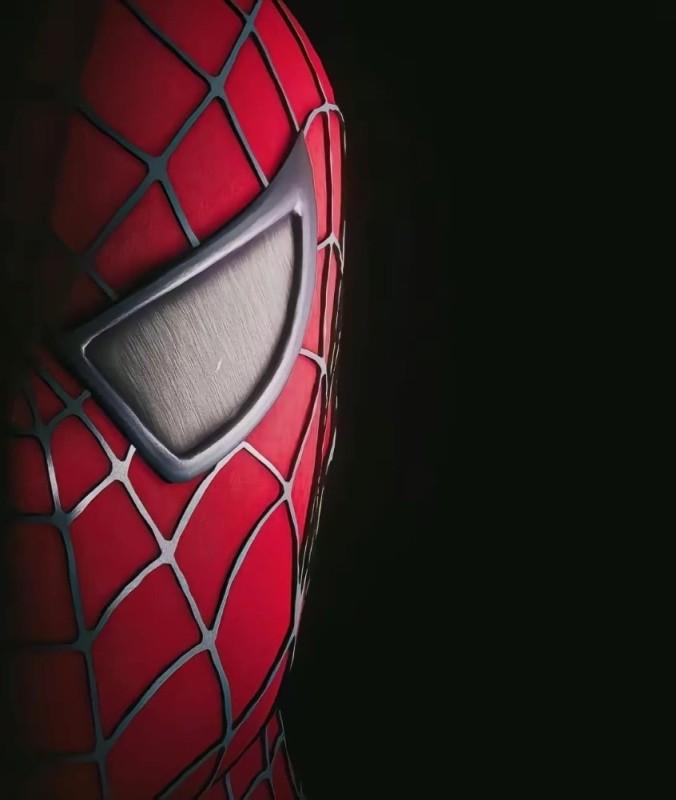 Create meme: spider man web of shadows, spider-man poster, spider-man web