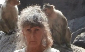 Create meme: wild monkey, macaques, people