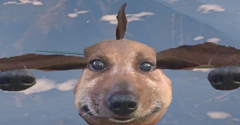 Create meme: smiling dog, meme dog , dog funny